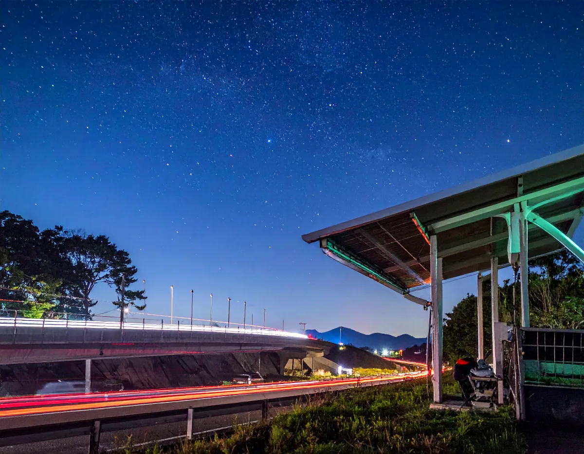 What Is It Actually Like to Sleep on Our Night Bus?